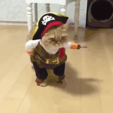 giphy-downsized-large